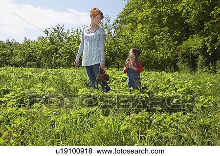 Mother and daughter (5-6) in strawberry field View Large Photo Image Stock Photo - Mother and daughter (5-6) in strawberry field. Fotosearch