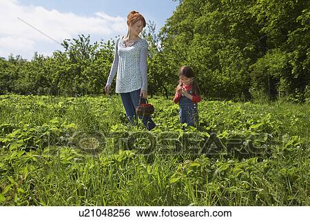Mother and daughter (5-6) in strawberry field View Large Photo Image Stock Photograph - Mother and daughter (5-6) in strawberry field. Fotosearch