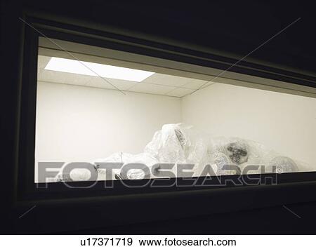Stock Photo - Office Liquidation. Fotosearch