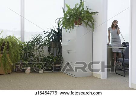 Office worker using phone in office, potted plants in adjoining room View Large Photo Image Stock Photograph - Office worker using phone in office, potted plants in adjoining room. Fotosearch