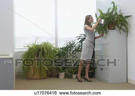 Stock Photograph - Office worker watering potted plants by office window. Fotosearch
