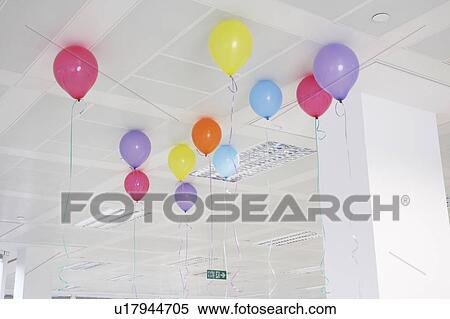 Party balloons hanging from ceiling of empty office space, low angle view View Large Photo Image Stock Photography - Party balloons hanging from ceiling of empty office space, low angle view. Fotosearch
