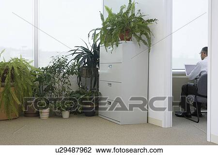 Potted plants by office window, business man using laptop in adjoining room, back view View Large Photo Image Stock Image - Potted plants by office window, business man using laptop in adjoining room, back view. Fotosearch