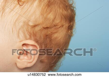 Redheaded Baby's Ear View Large Photo Image Stock Image - Redheaded Baby's Ear. Fotosearch