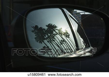Reflection of palm trees in car mirror View Large Photo Image Stock Image - Reflection of palm trees in car mirror. Fotosearch