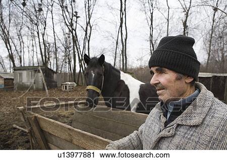 Russia, senior man and horse View Large Photo Image Stock Image - Russia, senior man and horse. Fotosearch