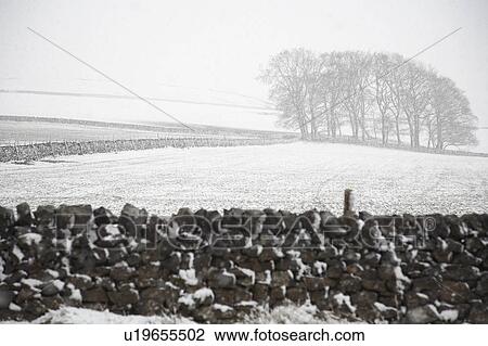 Stock Image - Snowcovered trees and field behind stone wall. Fotosearch