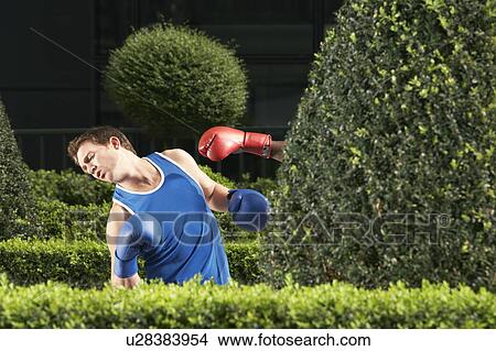 Picture - Two boxers fighting in park. Fotosearch