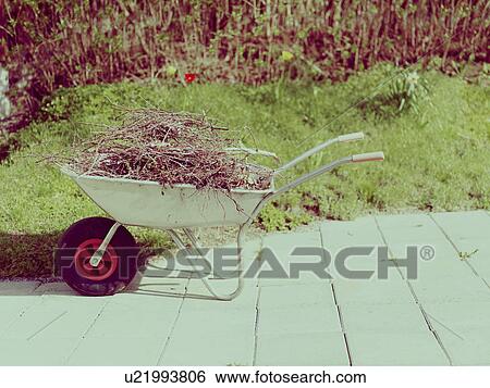 Wheelbarrow in sunny garden View Large Photo Image Stock Photograph - Wheelbarrow in sunny garden. Fotosearch