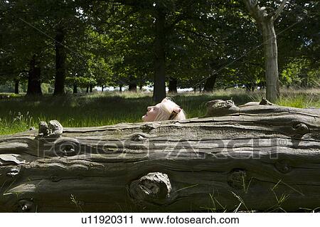 Woman Lying Beside a Tree Trunk View Large Photo Image Stock Image - Woman Lying Beside a Tree Trunk. Fotosearch