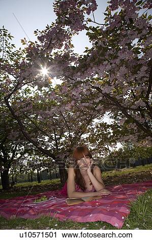 Woman Lying on a Blanket Among Cherry Trees View Large Photo Image Stock Image - Woman Lying on a Blanket Among Cherry Trees. Fotosearch