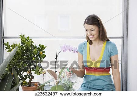Woman spraying flowers by window View Large Photo Image Stock Photo - Woman spraying flowers by window. Fotosearch