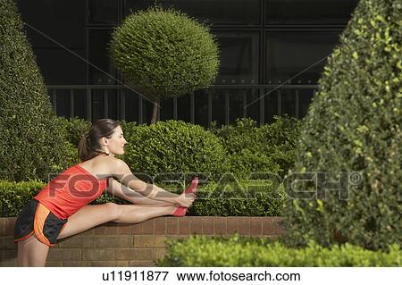 Stock Photo - Woman stretching in landscaped garden, side view. Fotosearch