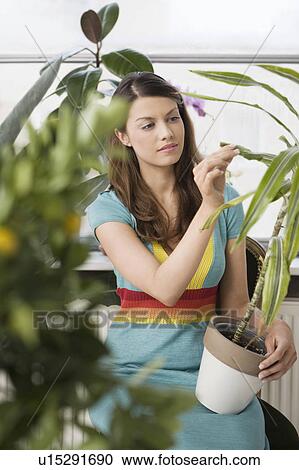 Stock Image - Woman tending plants in home. Fotosearch