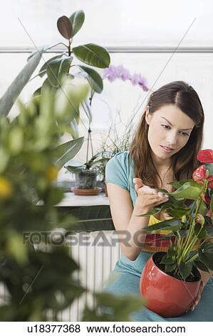 Stock Photo - Woman tending plants in home. Fotosearch