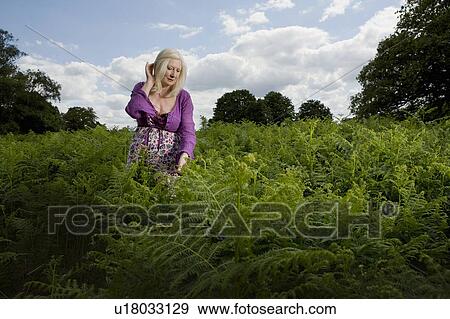 Woman Walking in a Meadow of Ferns View Large Photo Image Stock Photo - Woman Walking in a Meadow of Ferns. Fotosearch
