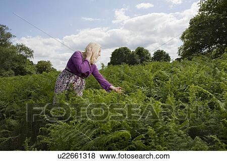 Stock Photo - Woman Walking in a Meadow of Ferns. Fotosearch
