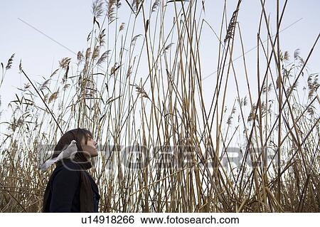 Woman with dove on shoulder outdoors View Large Photo Image Stock Photograph - Woman with dove on shoulder outdoors. Fotosearch