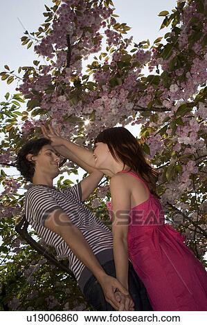 Young Couple Dancing Under a Blossoming Tree View Large Photo Image Stock Image - Young Couple Dancing Under a Blossoming Tree. Fotosearch