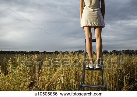 Stock Photograph - Young Woman in a Field Standing on a Step Ladder. Fotosearch
