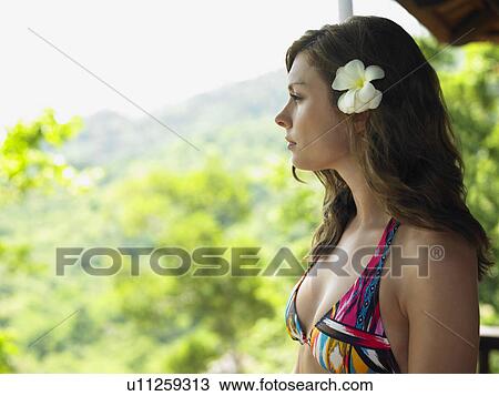 Young Woman in Bikini with Flower in Hair View Large Photo Image Stock Image - Young Woman in Bikini with Flower in Hair. Fotosearch