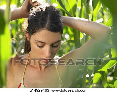 Young woman in corn field putting hair up View Large Photo Image Stock Image - Young woman in corn field putting hair up. Fotosearch