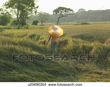 Young woman in fields holding umbrella, back view View Large Photo Image Picture - Young woman in fields holding umbrella, back view. Fotosearch