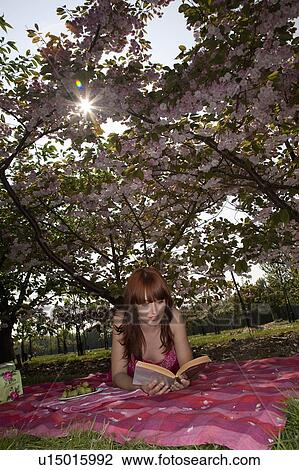 Young Woman Reading in Orchard View Large Photo Image Stock Image - Young Woman Reading in Orchard. Fotosearch