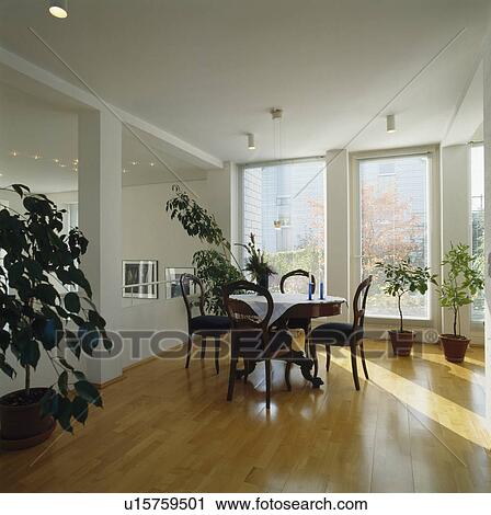 Stock Image - Antique chairs and table in modern white dining room with wooden flooring. Fotosearch