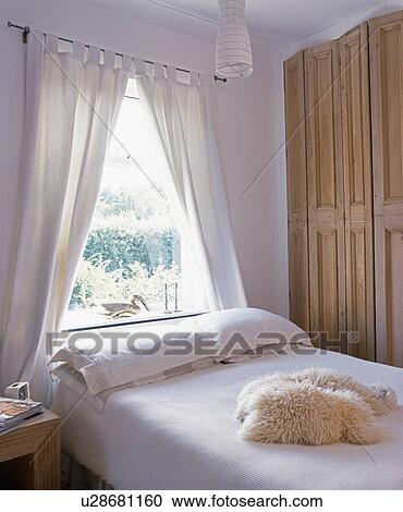 Stock Image - Bded in front of window with white curtains. Fotosearch