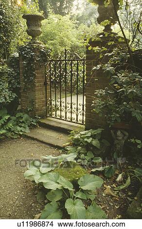 Picture - Black wrought-iron gate in garden wall topped with stone urns. Fotosearch