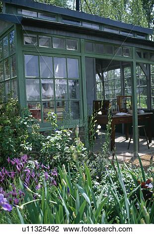 Blue irises in front of green framed summerhouse with open glass doors View Large Photo Image Stock Image - Blue irises in front of green framed summerhouse with open glass doors. Fotosearch