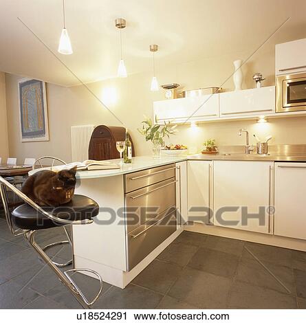 Cat on leather and chrome stool in modern white kitchen with stainless-steel dishwasher and slate flooring View Large Photo Image Stock Image - Cat on leather and chrome stool in modern white kitchen with stainless-steel dishwasher and slate flooring. Fotosearch