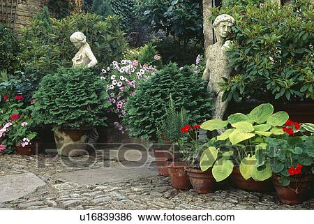 Classical statues on paved terrace with small conifers and red geraniums with hostas in pots View Large Photo Image Stock Photograph - Classical statues on paved terrace with small conifers and red geraniums with hostas in pots. Fotosearch