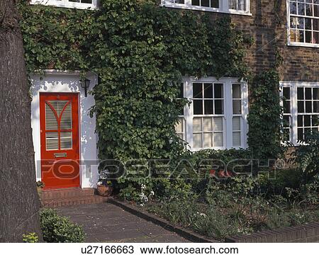 Climbing Plant On Traditional Terraced Town House With Red Front