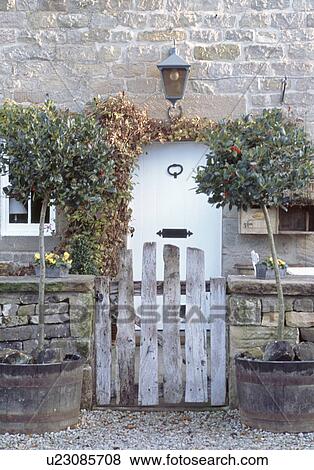 Clipped holly trees in wooden barrels on either side of rustic wooden gate in front of stone cottage with white front door View Large Photo Image Stock Photo - Clipped holly trees in wooden barrels on either side of rustic wooden gate in front of stone cottage with white front door. Fotosearch