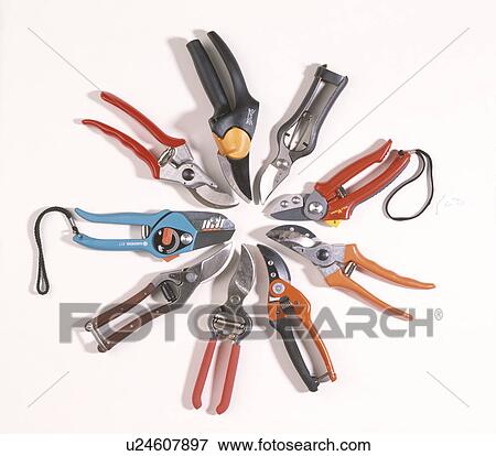 Stock Photo - Close-up of a variety of gardening secateurs. Fotosearch