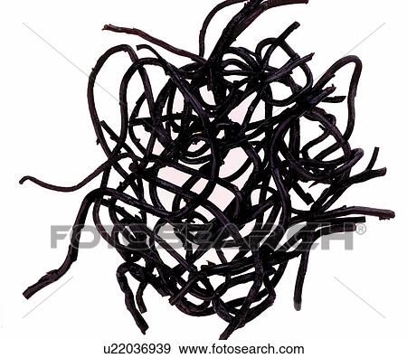 Stock Photo - Close-up of black Japanese "Hijiki" dried seaweed. Fotosearch