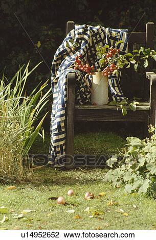 Stock Image - Close-up of blue+white checked throw on wooden bench with jug of red berries in country garden. Fotosearch