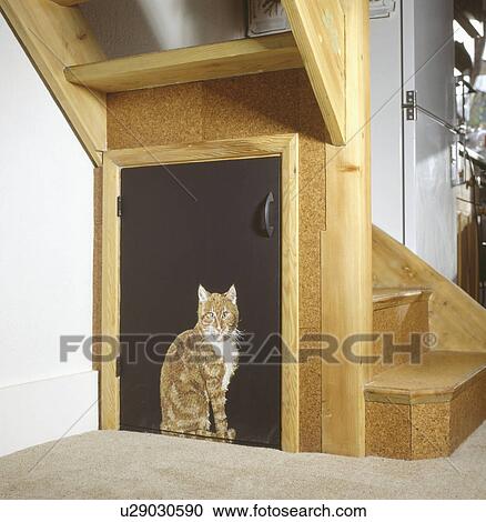 Close-up of cat painted onto door of understairs storage cupboard View Large Photo Image Stock Image - Close-up of cat painted onto door of understairs storage cupboard. Fotosearch