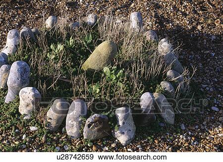Close-up of circle of seastones in informal coastal artwork View Large Photo Image Stock Photo - Close-up of circle of seastones in informal coastal artwork. Fotosearch