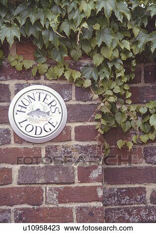 Close-up of circular house sign on brick wall below green leaves of virginia creeper View Large Photo Image Stock Image - Close-up of circular house sign on brick wall below green leaves of virginia creeper. Fotosearch