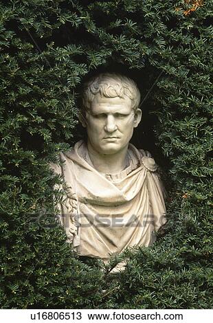 Close-up of classical bust in yew hedge View Large Photo Image Stock Image - Close-up of classical bust in yew hedge. Fotosearch
