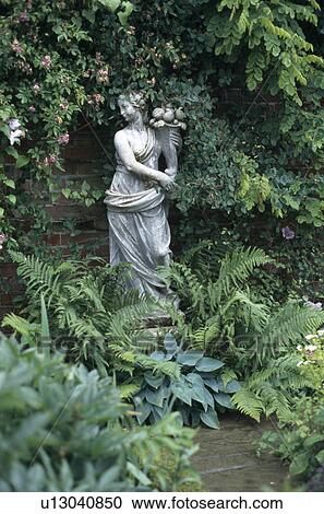 Close-up of classical stone statue against green trees with ferns and hostas in the foreground View Large Photo Image Stock Image - Close-up of classical stone statue against green trees with ferns and hostas in the foreground. Fotosearch