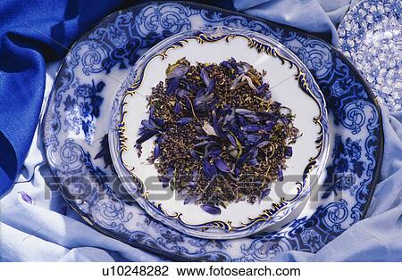 Close-up of dried lavender in antique blue and white bowl View Large Photo Image Stock Image - Close-up of dried lavender in antique blue and white bowl. Fotosearch