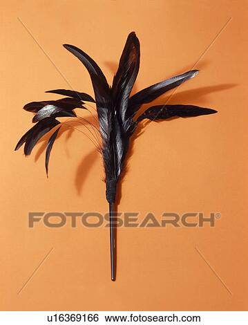 Close-up of feather hair-piece View Large Photo Image Stock Photograph - Close-up of feather hair-piece. Fotosearch