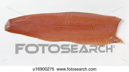 Close-up of fillet of smoked trout View Large Photo Image Stock Photography - Close-up of fillet of smoked trout. Fotosearch