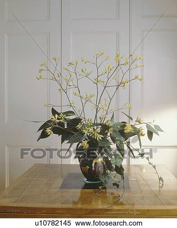 Stock Photography - Close-up of green leaves and yellow flowers in glass vase on hall table. Fotosearch