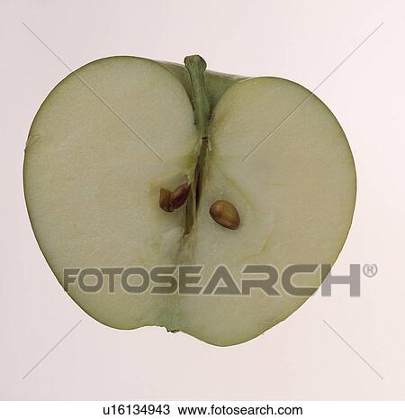 Stock Image - Close-up of half of apple. Fotosearch