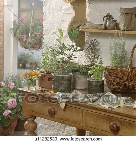 Stock Photo - Close-up of herbs in pots on old pine table in cottage kitchen. Fotosearch